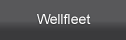 wellfleet